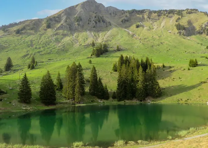 Apartament Val Neige Apt- 12 By Interhome Les Diablerets